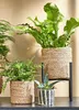 Mica Decorations Ascot Support pour plantes XL - L38 x l38 Voir les images du produit 6