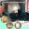 Guantes para el cuidado de mascotas: guantes de protección Vista previa de la imagen del producto 4