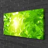 Tulup Leinwand-Bilder 100x50 Wandbild Canvas Kunstdruck Produktbild-Vorschau 2