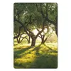 MuchoWow® Mauspad Mousepad Bäume - Natur - Sonne 18x27 cm - Produktbild-Vorschau 1