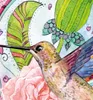 Zaunbanner Hippie Vögel Sichtschutz Garten Zaun Produktbild-Vorschau 3