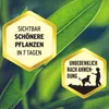 SUBSTRAL® 74920 SUBSTRAL® Grünpflanzendünger 1000 ml Anteprima dell’immagine prodotto 6
