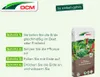 Cuxin DCM Aktiv-Erde Gemüse & Hochbeete 40 l Produktbild-Vorschau 5