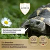Kleintierwiese Samen 1kg – Futterwiese für Kaninchen Produktbild-Vorschau 4
