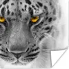 MuchoWow® Poster Leopard - Augen - Schwarz - Weiß 75x75 cm Produktbild-Vorschau 1