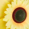 Relaxdays Windrad Sonnenblume, 2er Set, H x B x T: 76 x 29 Produktbild-Vorschau 7