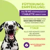 Saint Nutrition® Wurmixit - Wurmmittеl für Hunde – Wurmkur Produktbild-Vorschau 4