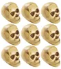 9 Totenköpfe – Halloweendeko 5 cm Produktbild-Vorschau 1