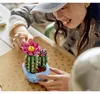 Conférence sur les plantes médicinales n° 6 Voir les images du produit 42