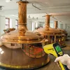 TROTEC Pyrometer TP10 | Infrarot Thermometer | Multipunkt Produktbild-Vorschau 10