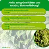 Purgrün Ficus-Dünger 1 Liter Produktbild-Vorschau 3