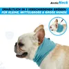 ArcticNeck Kühlhalsband Hunde kühlendes Halstuch Hund Produktbild-Vorschau 2