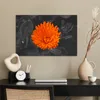 MuchoWow® Poster Blumen - Orange - Schwarz - Weiß 90x60 cm Produktbild-Vorschau 3