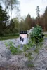 Star Trading Grave, Schwarz, Weiß, 1 Glühbirne(n), LED, Produktbild-Vorschau 3