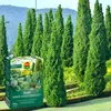 Langzeitdünger für Koniferen 850 g Produktbild-Vorschau 8