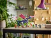 LEGO® NINJAGO® 71842 Rontu - Dragonnier Voir les images du produit 23