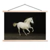 MuchoWow® Textilposter Pferd - Sand - Weiß 60x40 cm mit Produktbild-Vorschau 1