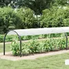A garden scene with plants under a protective cover. Podgląd zdjęcia produktu