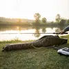 il Lago Passion Hardcase Rutenfutteral Digi Camou Produktbild-Vorschau 2