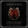 Florence + The Machine & Jules Buckley: Florence + The Náhľad obrázku produktu 2