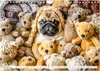 Mops-Mania - Der Spaßkalender für Mops-Fans (Wandkalender Produktbild-Vorschau 5