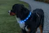 TRIXIE Flash Leuchtband USB, extra breit - blau - 70 cm/30 Produktbild-Vorschau 7