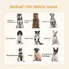 A collage of different dog breeds with their names in German. Náhled obrázku produktu