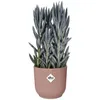 Elho Blumentopf Vibes Fold Ø 22 x 20 cm zartrosa Produktbild-Vorschau 4