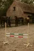 Hobby Horse Hurdle 120 cm avec barres vertes et roses pour Voir les images du produit 9