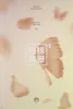 BTS (Bangtan Boys/Beyond The Scene): The 4th Mini-Album Produktbild-Vorschau 1