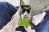 MuchoWow® Handyhülle Schutzhülle Hülle für iPhone X Katze - Produktbild-Vorschau 3