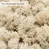 Islandmoos 500 g in über 30 Farben, konservierte Produktbild-Vorschau 4
