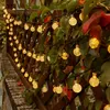 Solar LED string lights with spherical bulbs are draped along a wooden fence and intertwined with green and red foliage. Voir les images du produit