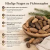Fichtenzapfen Natur, 1 kg, 6 bis 12 cm, ca. 40 bis 50 Stk., Produktbild-Vorschau 9