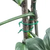 KADAX TPR-Pflanzen-Twistband, 5 m, grün Produktbild-Vorschau 12