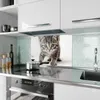 Küchenrückwand Spritzschutz Glas mit Motiv Katzenjunges 40 Produktbild-Vorschau 2