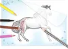 Libro della muta di Miss Melody Anteprima dell’immagine prodotto 4