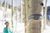 Eno - Hängematten-Zubehör - Helios Suspension System Grey - Produktbild-Vorschau 7