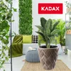 KADAX "Jesi" květináč s vložkou, plastový květináč, odolný Náhled obrázku produktu 6