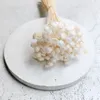 Glixia Getrocknete BIG - (Comanthera) - Gebleicht Produktbild-Vorschau 7