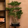 Sztuczne drzewko Bonsai POLIN, czarna ceramiczna donica, 72 Podgląd zdjęcia produktu 2