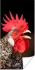 MuchoWow® Poster Krähender Hahn 20x40 cm - Plakat - Foto Produktbild-Vorschau 1