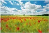 Wallario Wandbild aus Acryl, 90 x 60 cm, freischwebende Produktbild-Vorschau 1