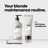 Shampoo Expert Silber L'Oreal Professionnel Paris (500 ml) Produktbild-Vorschau 6