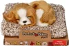 Schlafender Cavalier King Charles Welpe 13 cm klein Perfect Produktbild-Vorschau 1