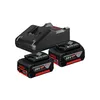 Starter-Set 2 x GBA 18V 4.0Ah + GAL 18V-40 Produktbild-Vorschau 1