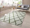 Shaggy Teppich in Creme Grün Größe - 120 x 170 cm Produktbild-Vorschau 1