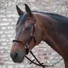 Linda Tellington Jones Lindel Snaffle Silver Cob Silver Cob Anteprima dell’immagine prodotto 2