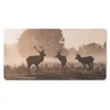 MuchoWow® Mauspad Mousepad Hirsche - Nebel - Wald 60x30 cm Produktbild-Vorschau 1