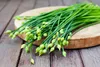 SAFLAX - Bio - Cięte - Czosnek - 100 Nasiona - Allium Podgląd zdjęcia produktu 9